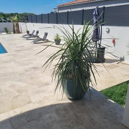 Βίλα Magnifique Avec Piscine Dans Sud De La France Saint-Gervasy